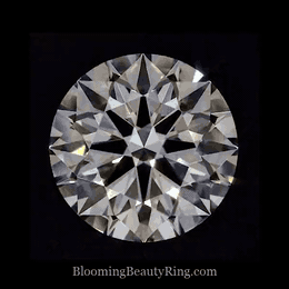 Diamond sparkle - BloomingBeautyRing.com