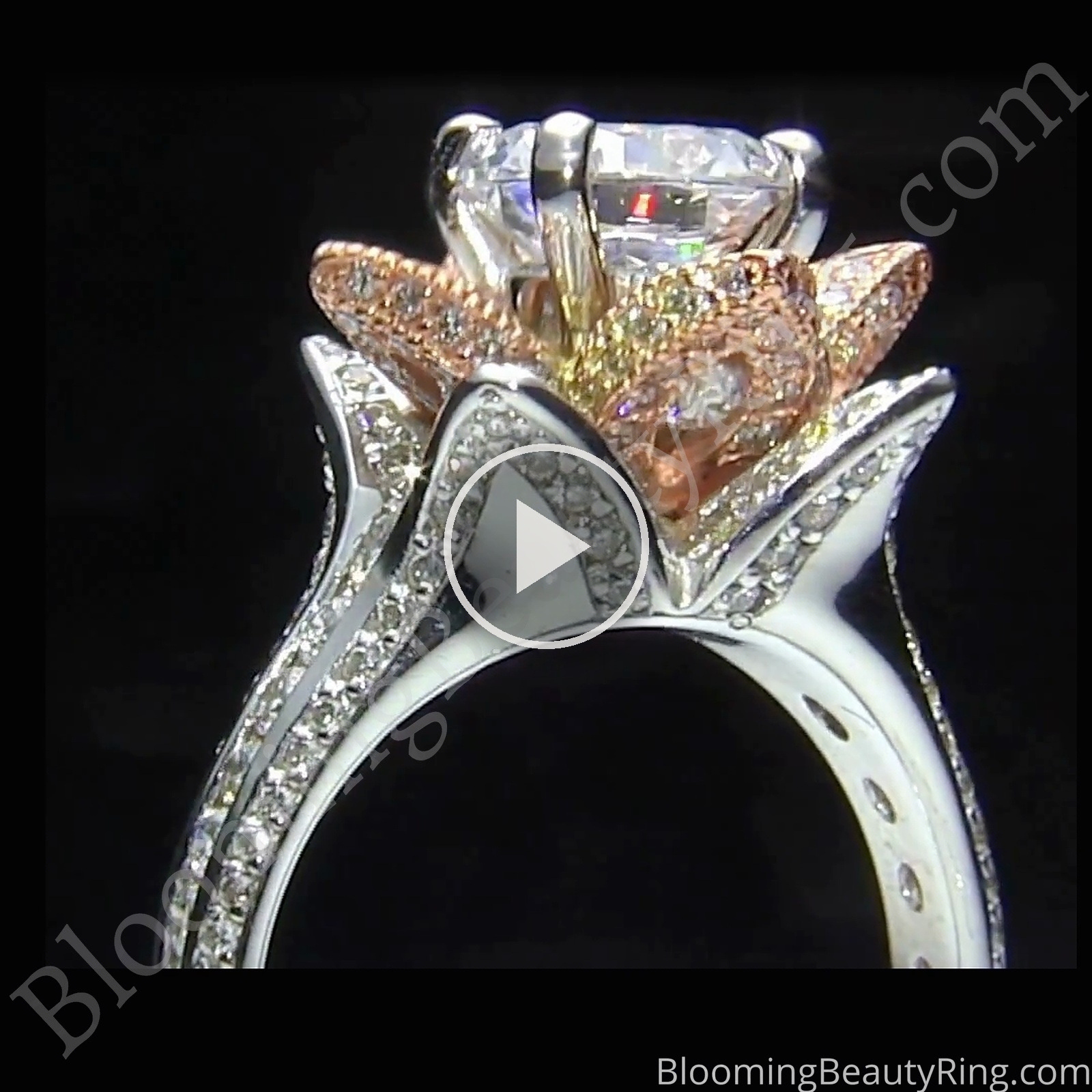 Two Toned Rose Gold and White Blooming Beauty Flower Ring – bbr434ttr standing close-up video (the engagement ring of set bbr434ttrset)