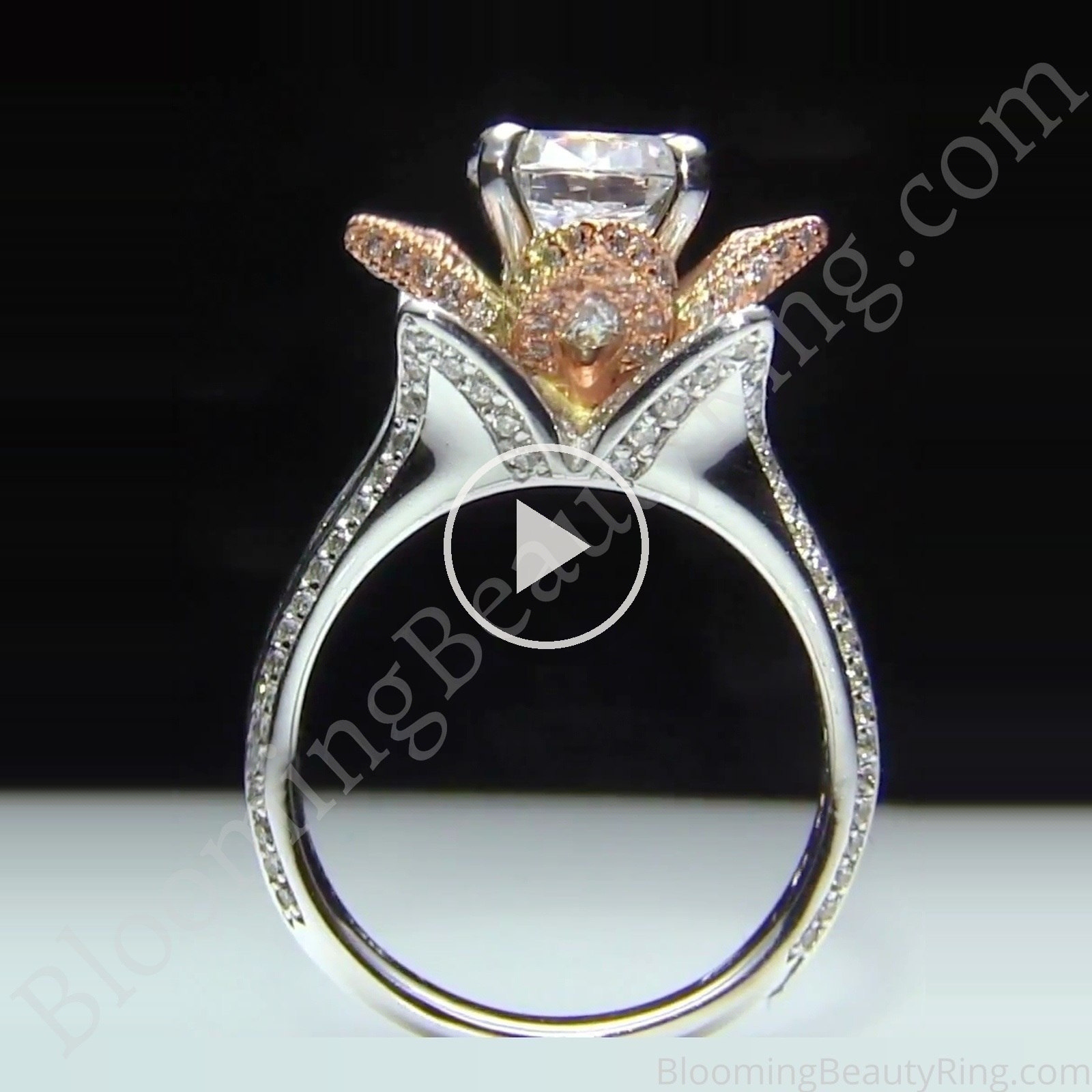 Two Toned Rose Gold and White Blooming Beauty Flower Ring – bbr434ttr standing full view video (the engagement ring of set bbr434ttrset)