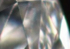 Diamond Polish Lizard Skin