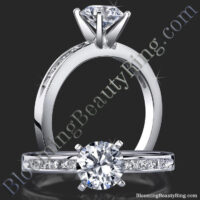 Petite 4 Prong Round Setting Channel Set Princess Cut Diamonds