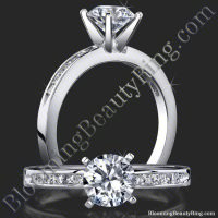 Petite 4 Prong Round Setting Channel Set Princess Cut Diamonds